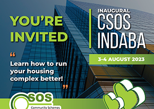 CSOS Indaba Web thumb